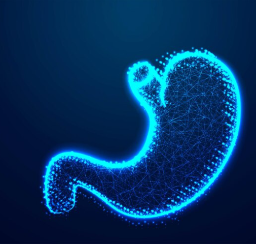 Digestive Health